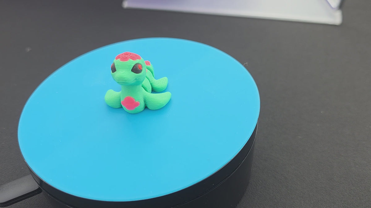 Nessy Flower