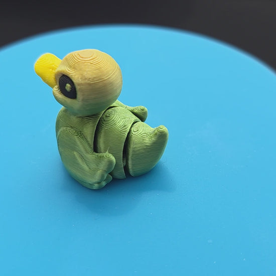 Duck