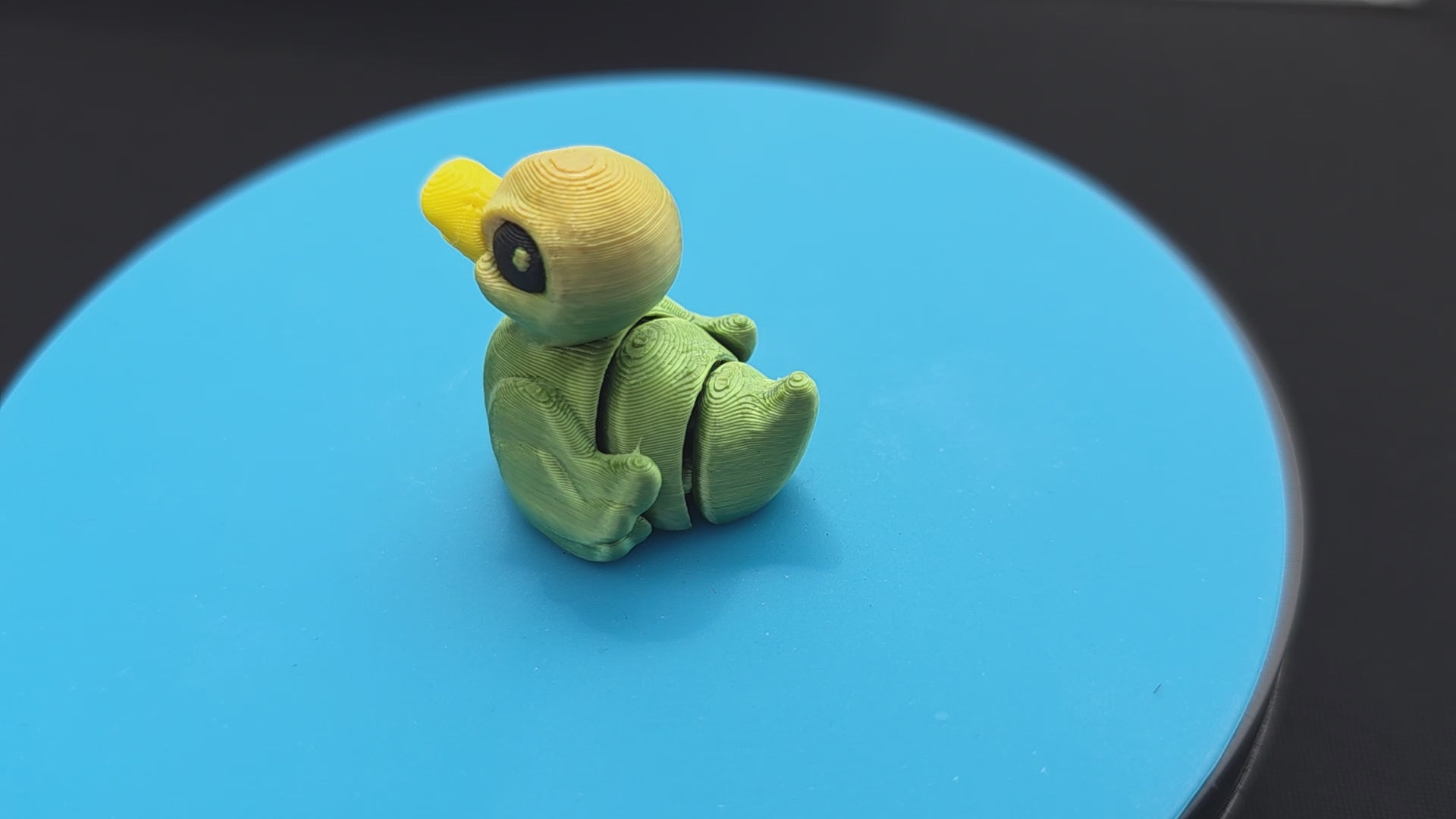 Duck