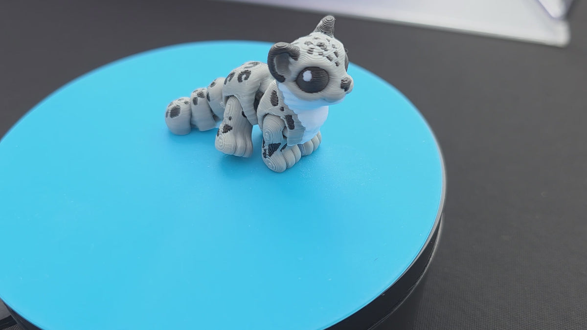 Snow Leopard