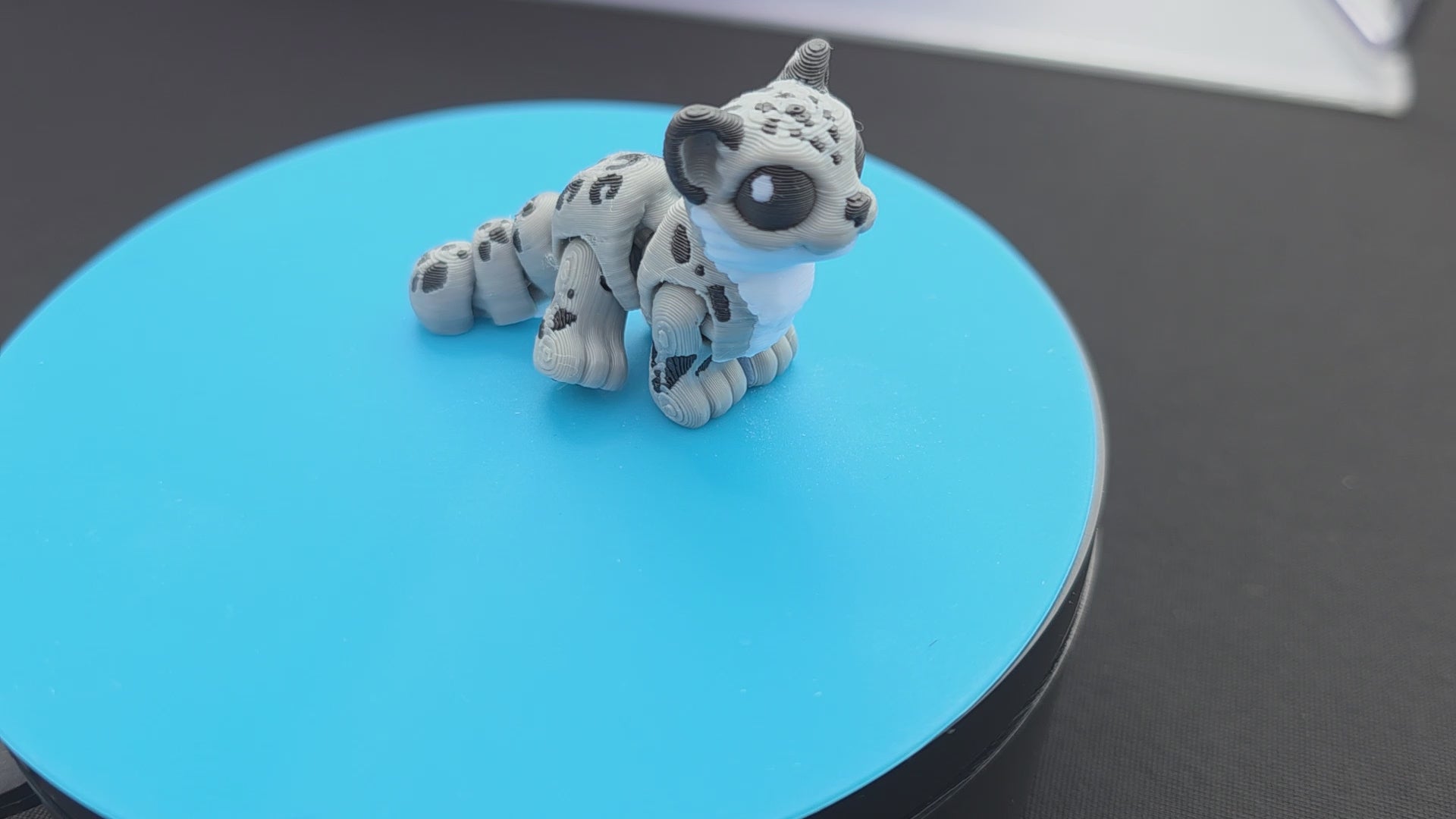 Snow Leopard
