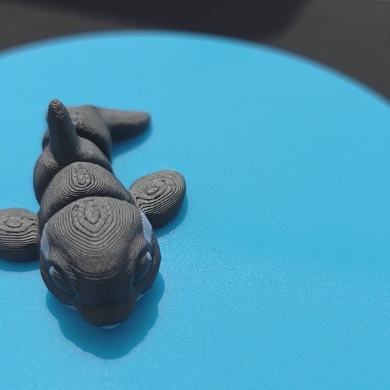 Killer Whale
