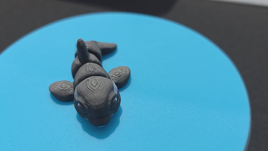 Killer Whale