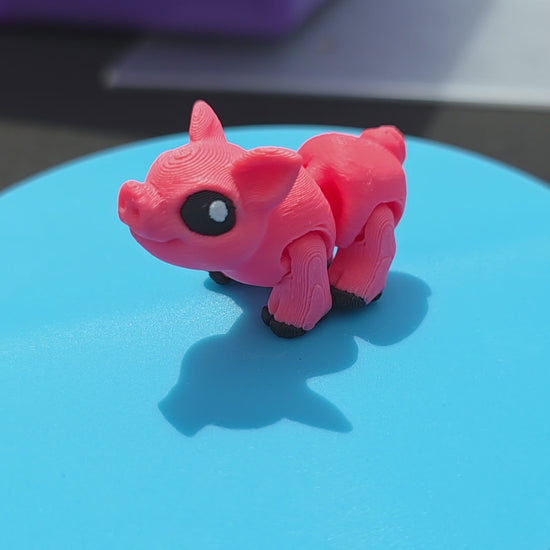 Pig