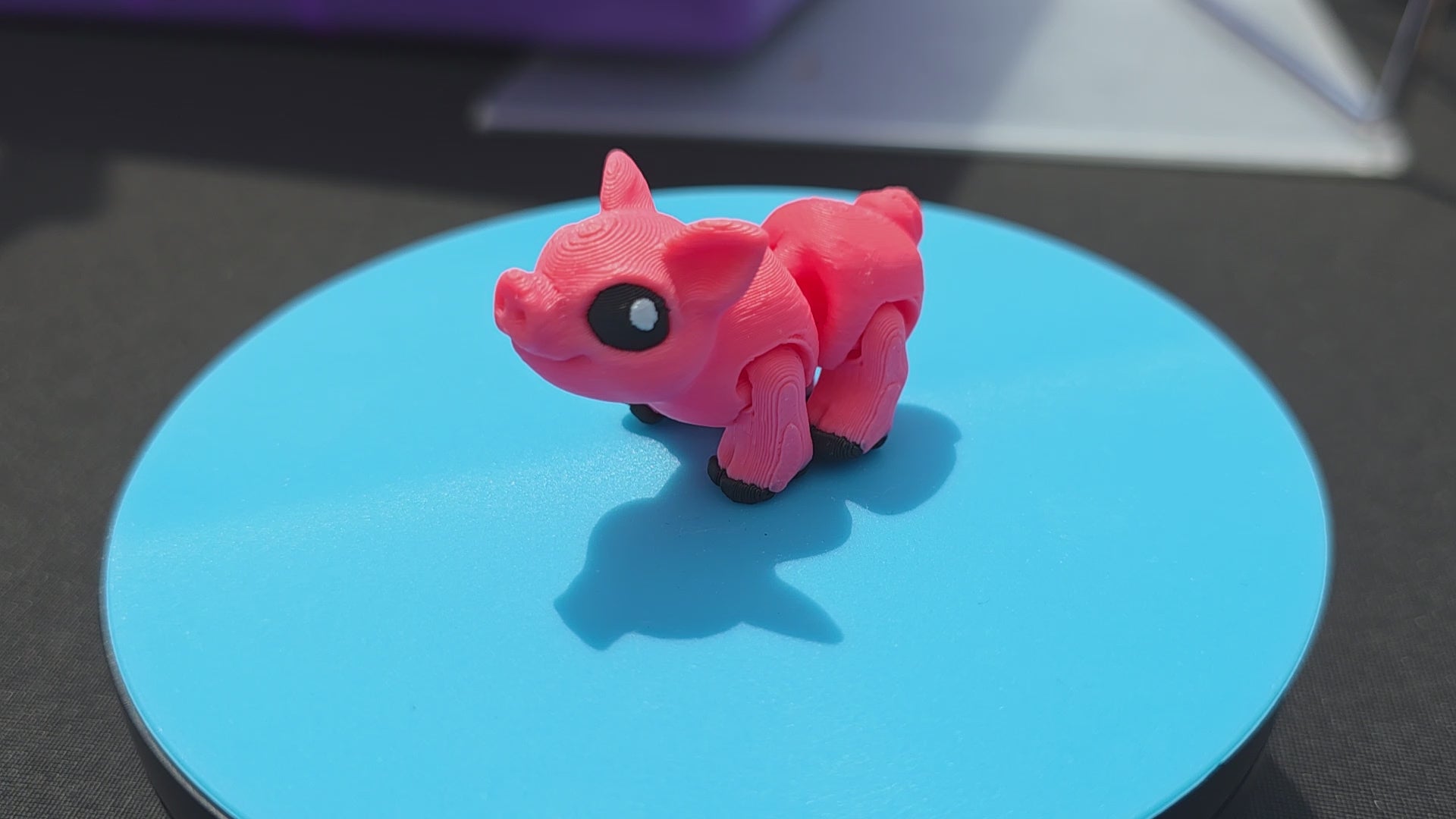 Pig