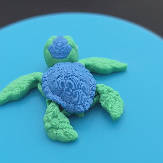 Sea Turtle