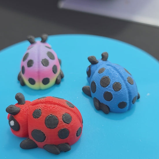 Lady Bugs