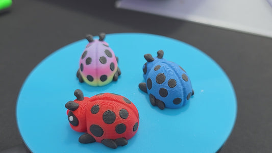 Lady Bugs